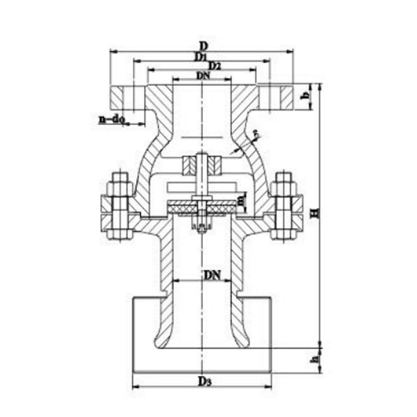 CBT3478 Cast Iron Suction Check Valve.jpg